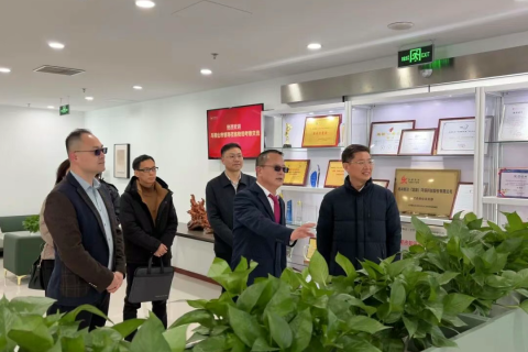 政企同心谋开展！马鞍山市领导莅临k8凯发(中国)科技集团总部考察研讨