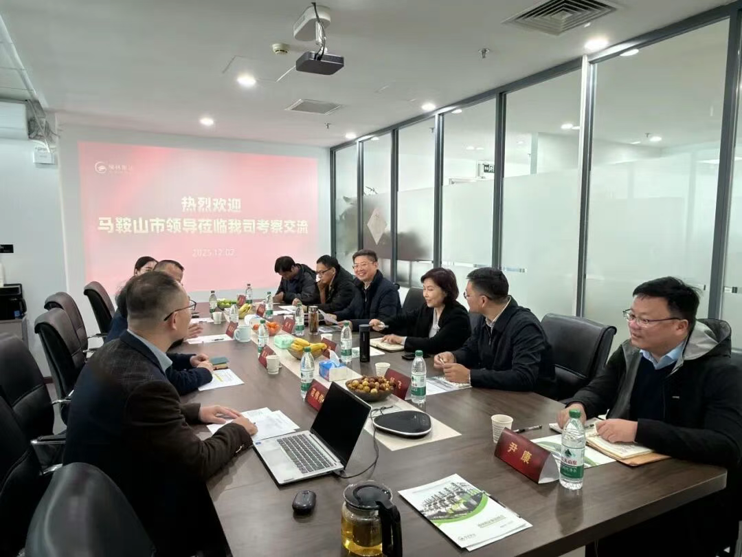 政企同心谋开展！马鞍山市领导莅临k8凯发(中国)科技集团总部考察研讨